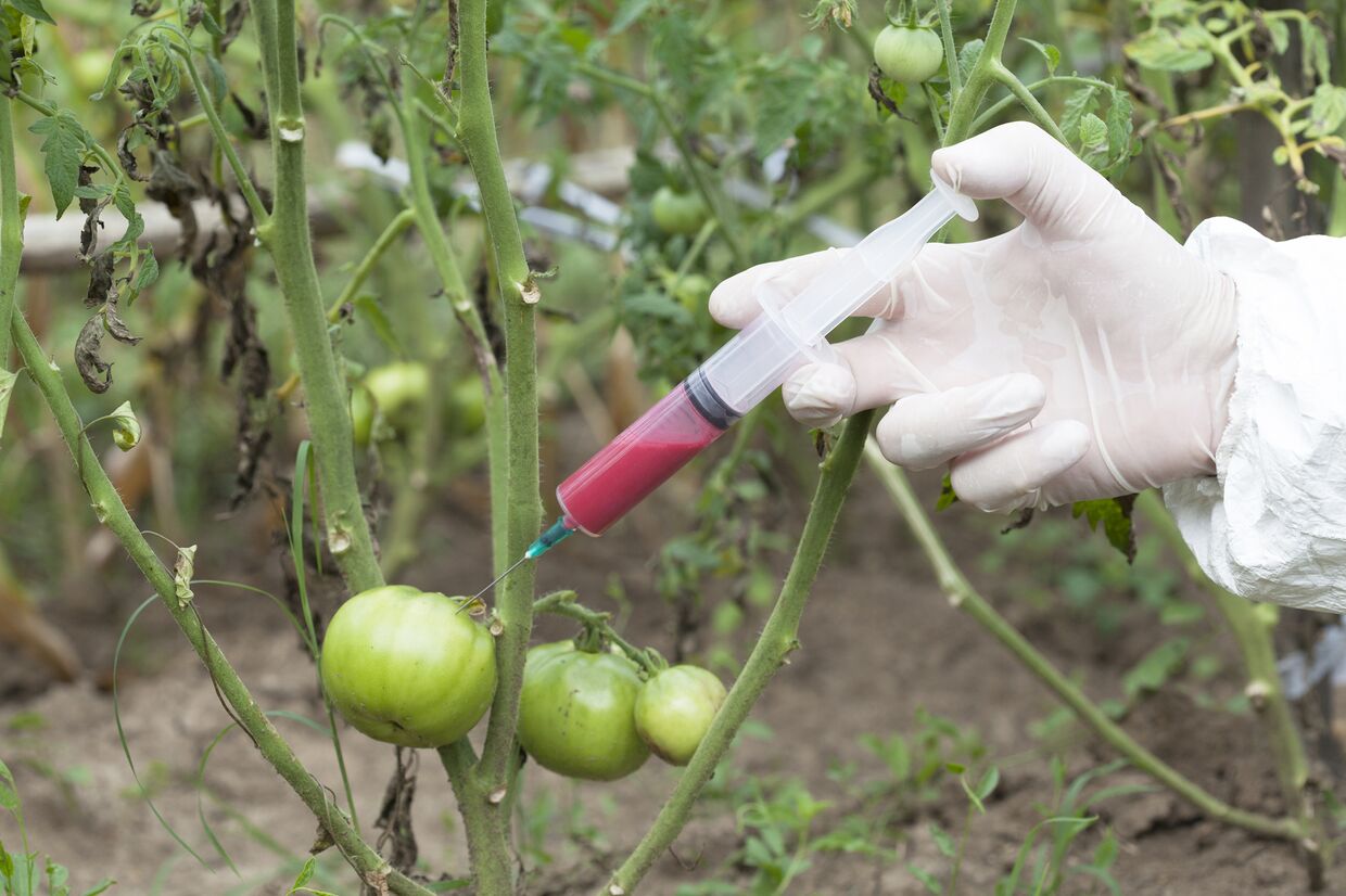 Ethephon na regulação do crescimento das plantas