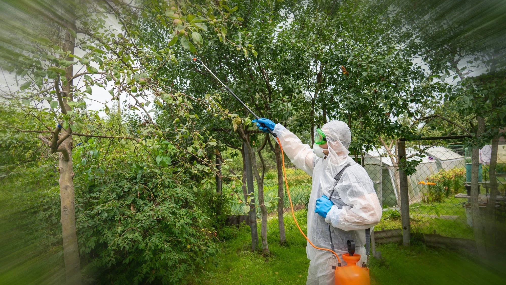 Diafenthiuron na gestão de pragas da árvore frutífera